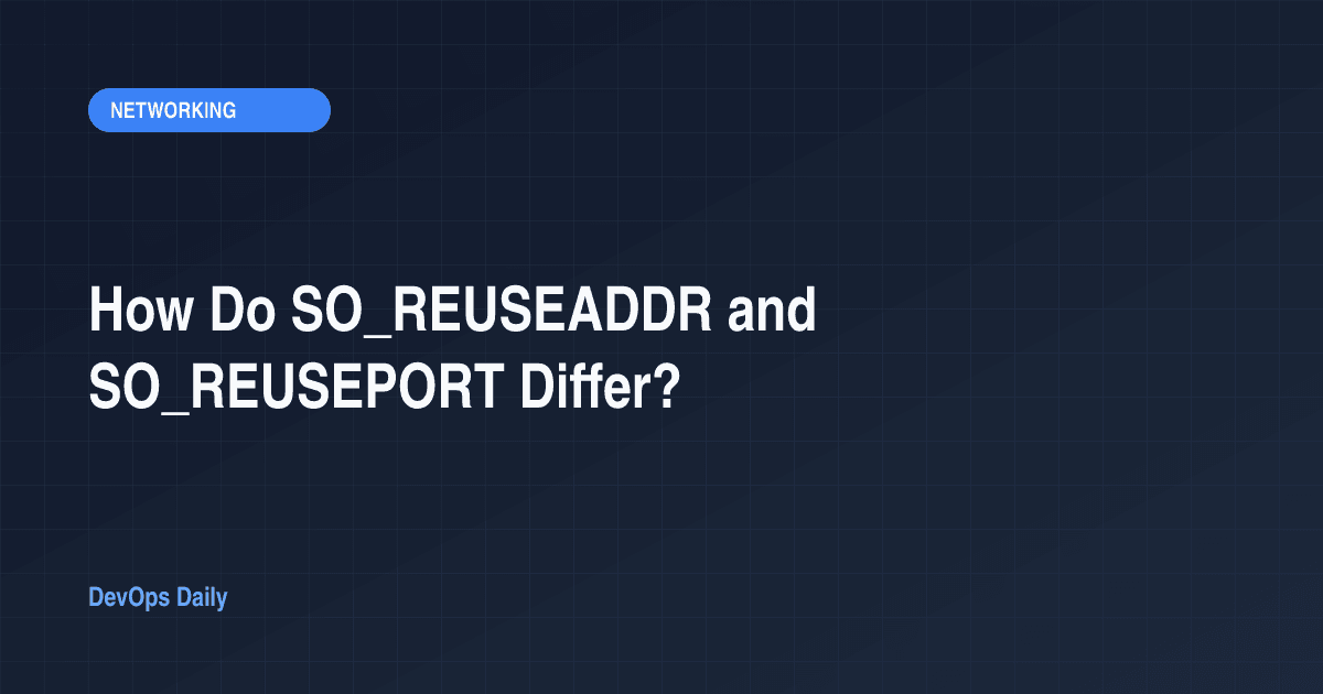 How Do SO_REUSEADDR and SO_REUSEPORT Differ?